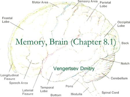 Memory, Brain (Chapter 8.1) Vengertsev Dmitry. Agenda Goals: 1) provide general overview of what we do know about underlying biological processes and.