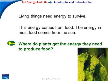 End Show 8-1 Energy And Life Slide 1 of 20 Copyright Pearson Prentice Hall Autotrophs and Heterotrophs Living things need energy to survive. This energy.