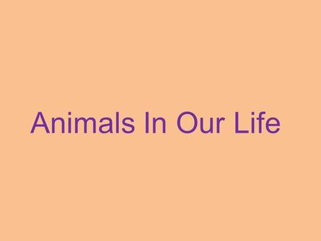 Animals In Our Life. [s], [d], [t], [f], [v], [e], [ei], [a:], [ai].