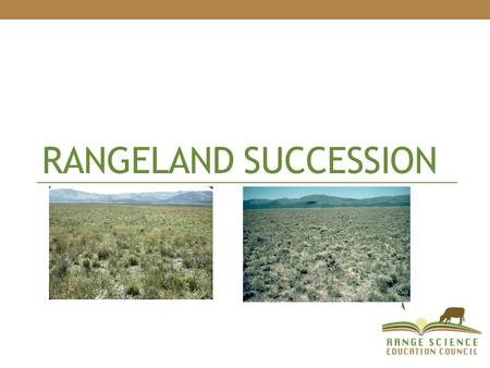 RANGELAND SUCCESSION. Succession The orderly change of plant communities over time The gradual replacement of one plant community by another through natural.
