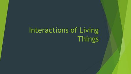 Interactions of Living Things