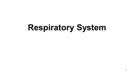 1 Respiratory System. Respiration ----- external respiration internal respiration Rate of respiration 12 -16 breaths per min. Rate of ventilation– 6 litres.