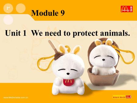 Module 9 Unit 1 We need to protect animals.. 南极大冒险.
