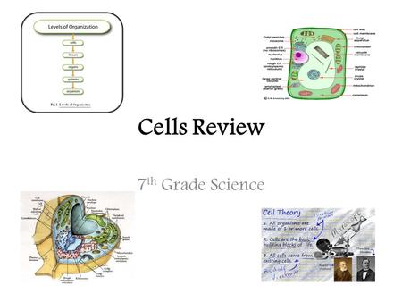 Cells Review 7 th Grade Science. Parts of a cell…you need to know them! Rough ER: site of protein production; has ribosomes on its surface Vacuole: stores.
