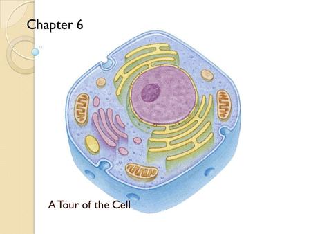 Chapter 6 A Tour of the Cell.
