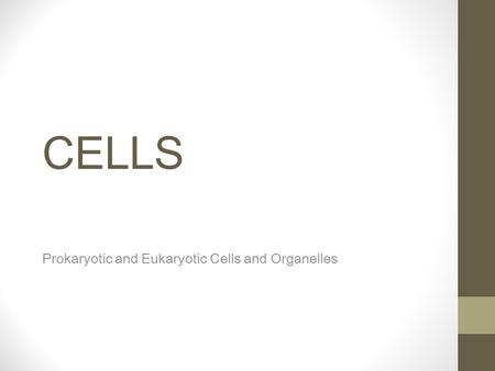 CELLS Prokaryotic and Eukaryotic Cells and Organelles.