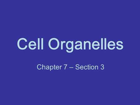 Cell Organelles Chapter 7 – Section 3.