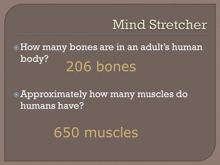  How many bones are in an adult’s human body?  Approximately how many muscles do humans have? 650 muscles 206 bones.