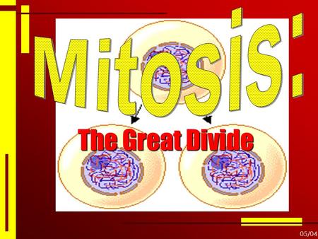 The Great Divide 05/04. Why Would a Cell Divide?  As cells absorb nutrients and get larger, the volume of the cell increases faster than the surface.