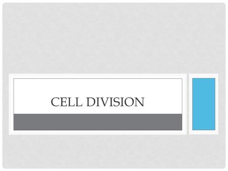 CELL DIVISION. ESSENTIAL QUESTION How do cells divide to create new cells?