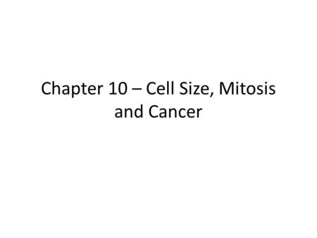 Chapter 10 – Cell Size, Mitosis and Cancer. Cells come in a variety of sizes… Red blood cells = 9 micrometers Nerve cells (large animals) = 1m (with small.