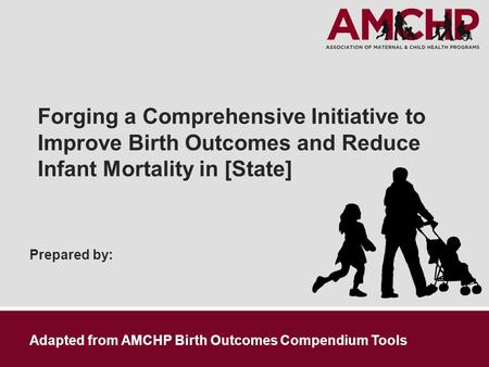 Prepared by: Forging a Comprehensive Initiative to Improve Birth Outcomes and Reduce Infant Mortality in [State] Adapted from AMCHP Birth Outcomes Compendium.