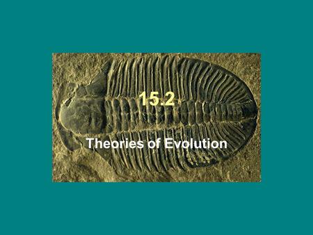 15.2 Theories of Evolution. Evolution Organisms change over time…