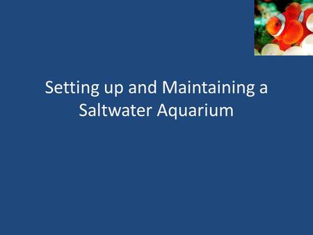 Setting up and Maintaining a Saltwater Aquarium. Setting Up Aquarium Step 1: Prepare the aquarium – Clean tank and all equipment with sponge; no detergent.
