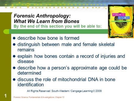 describe how bone is formed