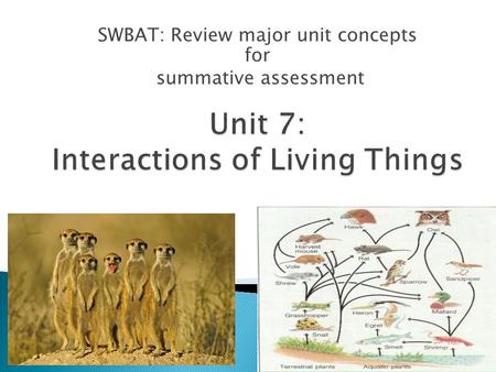 SWBAT: Review major unit concepts for summative assessment.