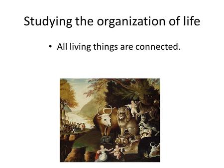 Studying the organization of life All living things are connected.