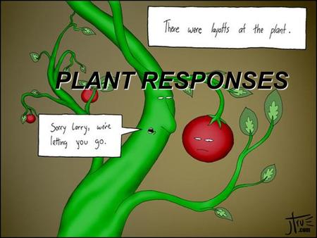 PLANT RESPONSES.