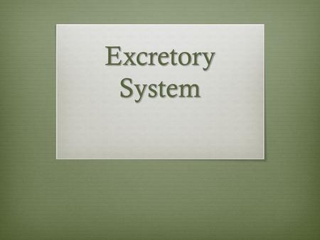 Excretory System.  This system removes wastes from the body. Some animals remove excess water, salt, and other waste through their skin in the form of.