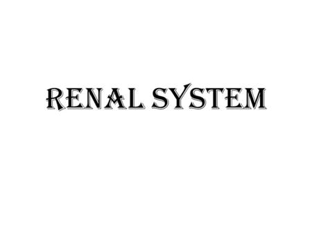 Renal system. Urogenital System Functions  Filtering of blood, Removal of wastes and metabolites  Regulation of – blood volume and composition – blood.