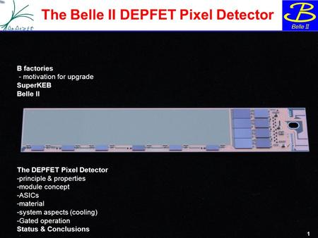 The Belle II DEPFET Pixel Detector