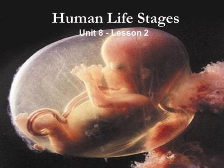Human Life Stages Unit 8 - Lesson 2.