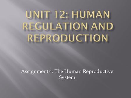 Assignment 4: The Human Reproductive System.  Starter:- Sort the keywords into two lists: one for the male system and one for the female system MaleFemale.