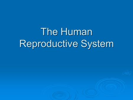 The Human Reproductive System. Female Reproductive System  Anatomy  Ovaries Responsible for bringing ova to maturityResponsible for bringing ova to.