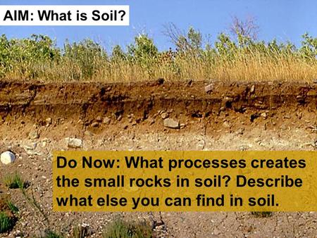 Do Now: What processes creates the small rocks in soil? Describe what else you can find in soil. AIM: What is Soil?