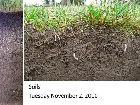 Soils Tuesday November 2, 2010 Soils. Chapter 5 Section 2: Soil What is soil? Soil is part of the ___________ that supports the ___________ of plants.
