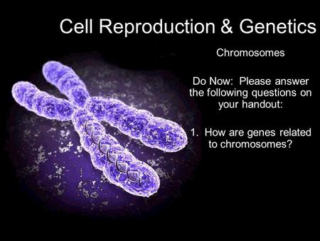 Cell Reproduction & Genetics