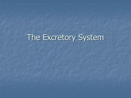 The Excretory System. Function of the Excretory System To eliminate wastes products from the body To eliminate wastes products from the body.