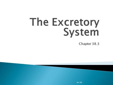 The Excretory System Chapter 38.3 Bio 392.  Excretion  the process of eliminating waste products of metabolism and other non-useful materials.  The.