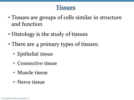 Tissues are groups of cells similar in structure and function
