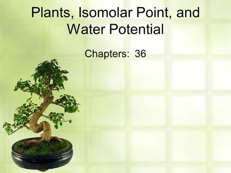 Plants, Isomolar Point, and Water Potential Chapters: 36.