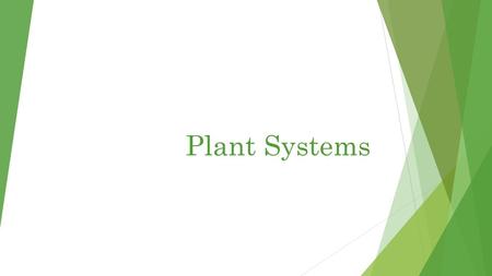 Plant Systems. Types of Plant Cells  3 Basic Types of Specialized Cells:  1. Epidermal Cells  2. Ground Cells  3. Vascular Cells.
