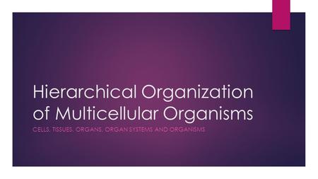 Hierarchical Organization of Multicellular Organisms