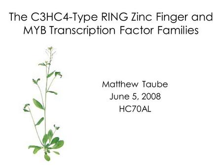 The C3HC4-Type RING Zinc Finger and MYB Transcription Factor Families Matthew Taube June 5, 2008 HC70AL.