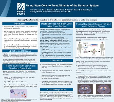 Using Stem Cells to Treat Ailments of the Nervous System Crista Chavez, Jacqueline Doody, Nina Roxo, Aleksandra Sabov & Zachary Taylor Faculty Mentor:
