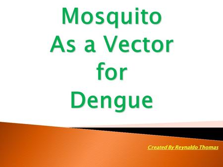 Mosquito As a Vector forDengue Created By Reynaldo Thomas.