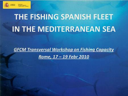 THE FISHING SPANISH FLEET IN THE MEDITERRANEAN SEA GFCM Transversal Workshop on Fishing Capacity Rome, 17 – 19 Febr 2010.