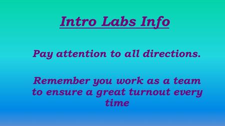 Intro Labs Info Pay attention to all directions. Remember you work as a team to ensure a great turnout every time.