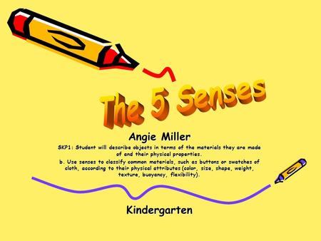 The 5 Senses Angie Miller Kindergarten
