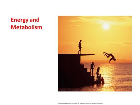 Energy and Metabolism. I. Energy Basics A. Forms of Energy - energy is the capacity to cause change.