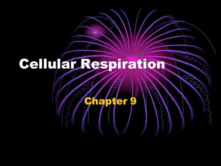Cellular Respiration Chapter 9. As you already know… Respiration is the process by which energy is produced from sugar Respiration takes place inside.