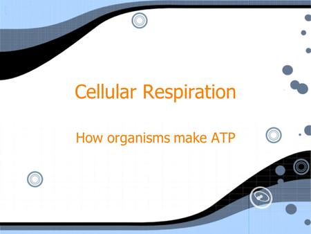 Cellular Respiration How organisms make ATP. Cellular Respiration The process that produces energy (ATP) by breaking down food molecules 6O 2 + C 6 H.