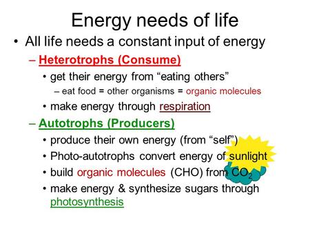 Energy needs of life All life needs a constant input of energy –Heterotrophs (Consume) get their energy from “eating others” –eat food = other organisms.