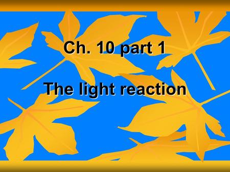 Ch. 10 part 1 The light reaction. I. Autotrophs- Organisms that make their own food (convert light energy to chemical energy) I. Autotrophs- Organisms.