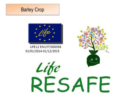 Barley Crop LIFE12 ENV/IT/000356 01/01/2014-31/12/2015.