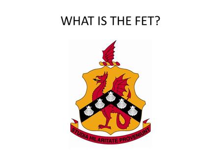WHAT IS THE FET?.